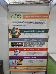 EQUIPE DA CENTRAL DA CAATINGA PRESENTE NA PROGRAMAÇÃO DA 11ª EDIÇÃO DO FESTIVAL REGIONAL DO UMBU